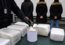 Tres detenidas en Lisboa con cocaína oculta en leche en polvo