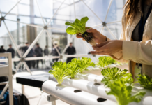 Itecam lleva a Madrid la tecnología para cultivar en extremos