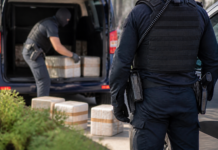 Cocaína entre Madrid y Barcelona: 13 personas a prisión