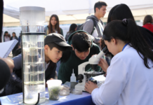 San Pedro de la Paz acerca la ciencia con festival de 30 stands