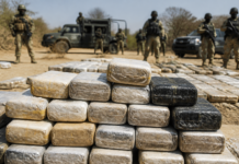 Golpe al narco: México y EE. UU. incautan cocaína en Oaxaca