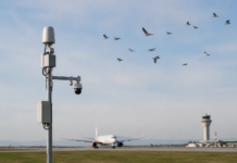 Flox capta 1,4 millones para su IA contra fauna aeroportuaria