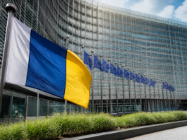 Canarias lleva a Bruselas su apuesta por la innovación