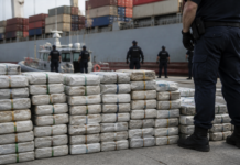 Golpe al narcotráfico: Francia incauta 5.292 kilos de cocaína