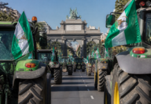 El campo andaluz toma Madrid: tractorada el 28 de octubre