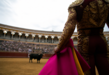 La Junta usa recursos públicos para impulsar la tauromaquia