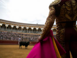 La Junta usa recursos públicos para impulsar la tauromaquia