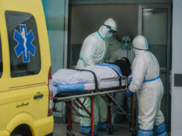 Francia confirma el primer caso humano del virus Shamonda