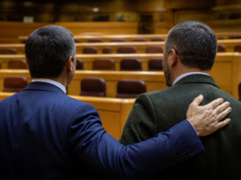 PP y Vox logran un pacto ganador en el Senado, pero insuficiente