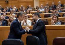 El pacto de Feijóo y Abascal en el Senado retrata a Sánchez