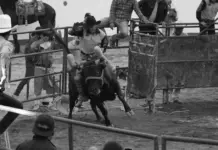 Vandalismo y robo golpean una escuela rural de Rodeo image