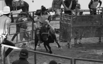 Vandalismo y robo golpean una escuela rural de Rodeo image