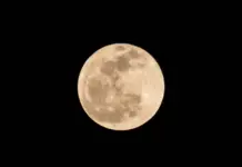 Luna llena del cazador 2026 y sus rituales de energía image