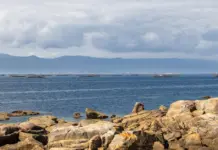 Marisqueo en Galicia bajo presión por la menor producción image