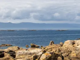 Marisqueo en Galicia bajo presión por la menor producción image