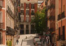 Trashumancia Madrid revive su tradición entre ovejas Trashumancia Madrid revive su tradición entre ovejas image