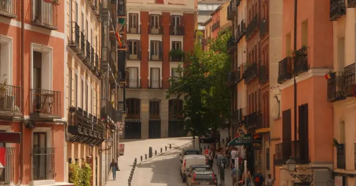 Trashumancia Madrid revive su tradición entre ovejas Trashumancia Madrid revive su tradición entre ovejas image