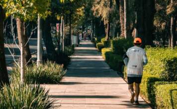 Longevidad: caminar a diario puede ayudarte a vivir más image