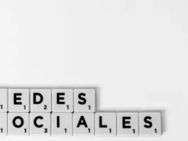 Los rochos se cuelan en la polémica del PP y Begoña Gómez image